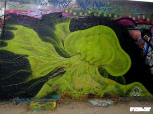 fi3b3r Graffiti Qualle Mauerpark berlin